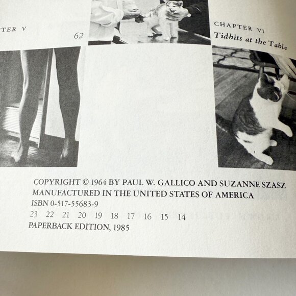 The Silent Miaow A Manual For Kittens, Strays, and Homeless Cats - Picture 4 of 4